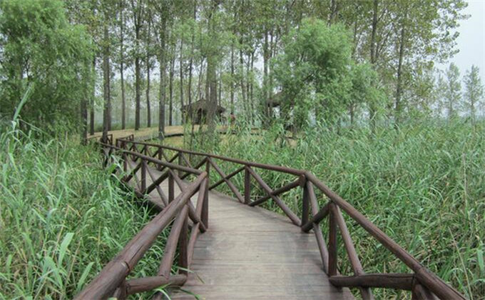 枣庄微山湖红荷湿地自助游