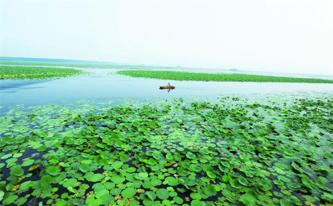 枣庄微山湖红荷湿地旅游自驾游