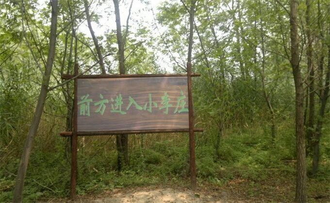 枣庄微山湖红荷湿地旅游自驾游