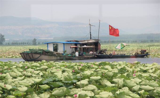 微山湖红荷湿地旅游景点印象最深的